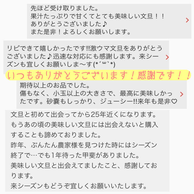 土佐文旦 ぶんたん 柑橘 Mサイズ 食品/飲料/酒の食品(フルーツ)の商品写真