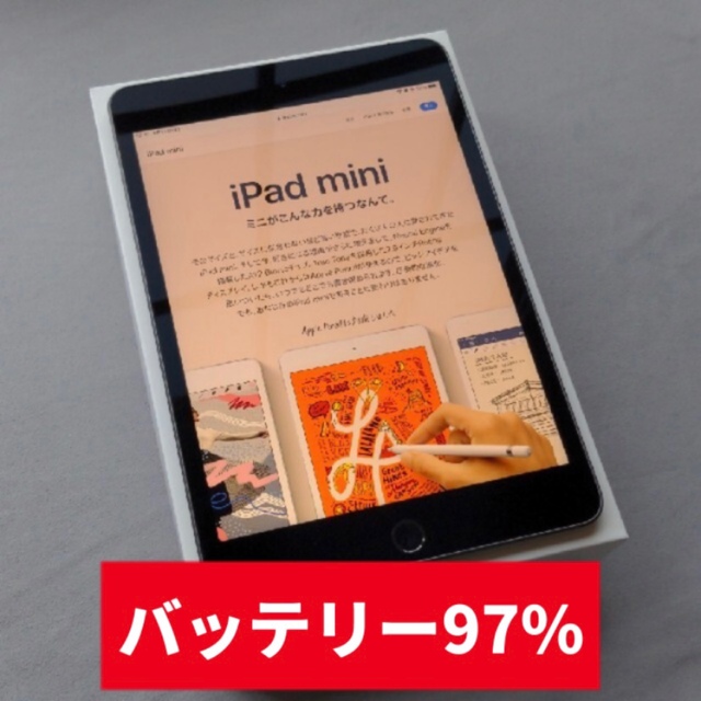 iPad mini 5 Wi-Fi+Cellular Apple Care+付タブレット