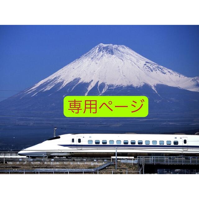 【希望者のみラッピング無料】 JR - 乗車券+特急券 新幹線チケット 鉄道乗車券
