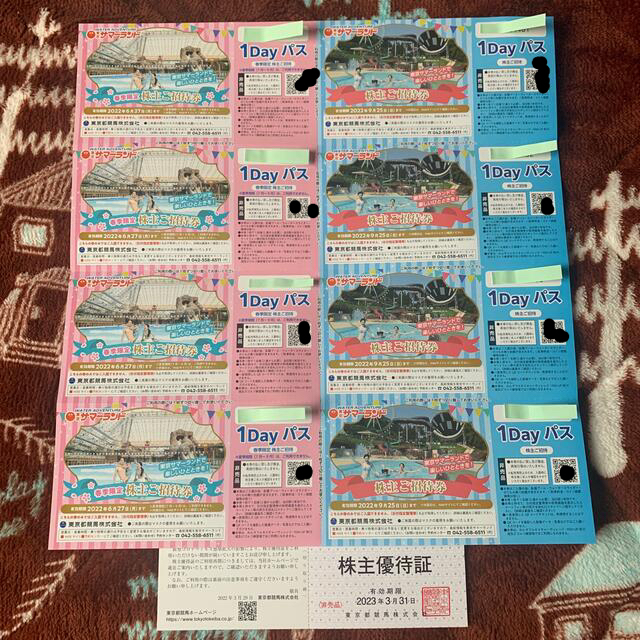 値下げ‼️サマーランド1Day パス　4枚➕4枚