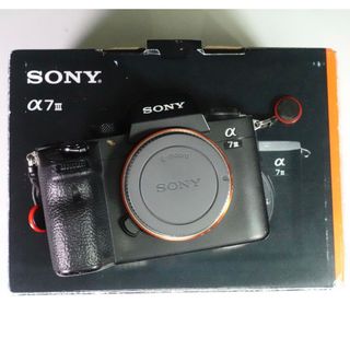 ソニー(SONY)のSONYα7III (ミラーレス一眼)