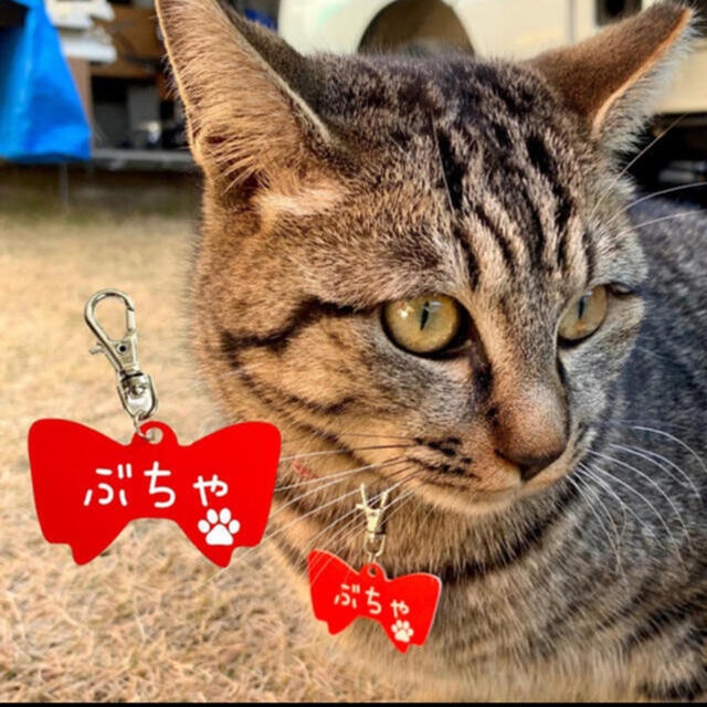 【名入れ彫刻】愛犬・愛猫用 ネームタグ プレート リボンVer. ハンドメイドのペット(その他)の商品写真