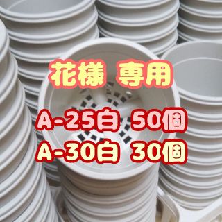 プラ鉢2.5号鉢【A-25】50個 他 スリット鉢 丸 プレステラ 多肉植物(プランター)