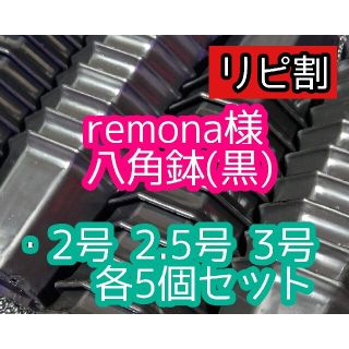 remona様 八角鉢(プランター)