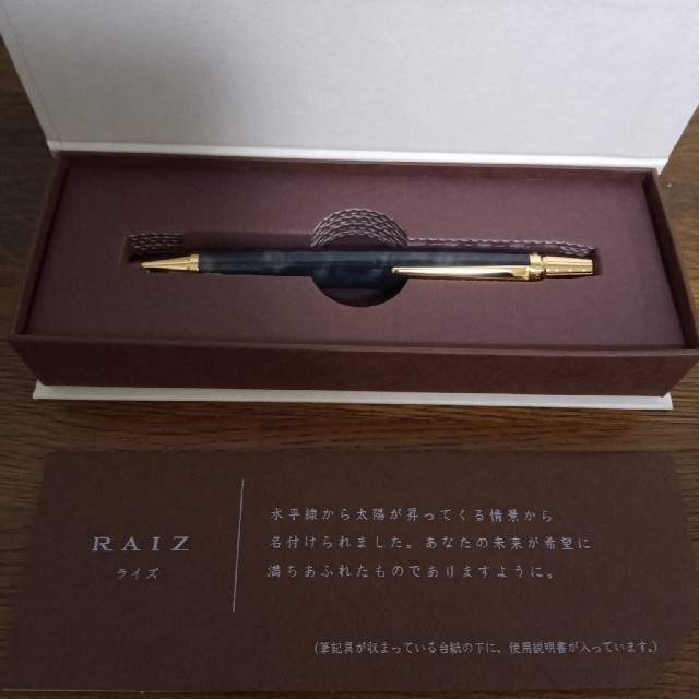 パイロット 株主優待 油性ボールペン RAIZ(ライズ) + 筆記具セット www