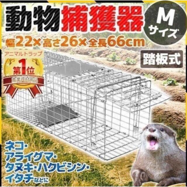 動物捕獲器 Ｍサイズ　アニマルトラップ　害獣 折り畳み 組み立て式