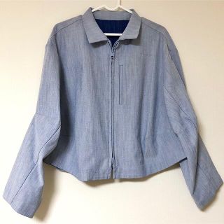 イッセイミヤケ Gジャン/デニムジャケット(レディース)の通販 8点