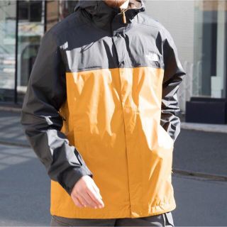 リバーシブルタイプ ノースフェイス 限定 ゴアテックス ウィンド