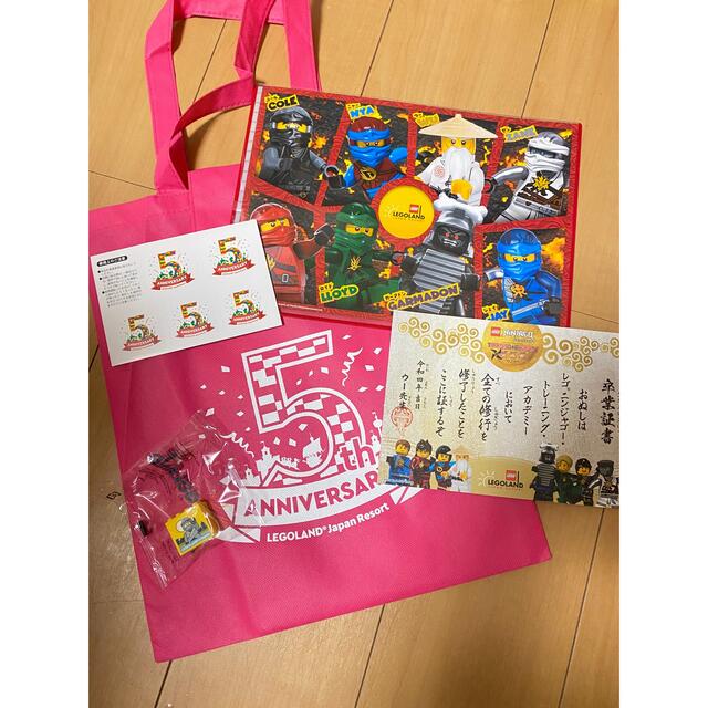 Lego(レゴ)のレゴランドジャパン 5周年 名古屋 エンタメ/ホビーのコレクション(ノベルティグッズ)の商品写真