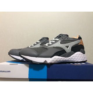 ミズノ(MIZUNO)のMizuno mondo control IL BISONTE 28 コラボ(スニーカー)