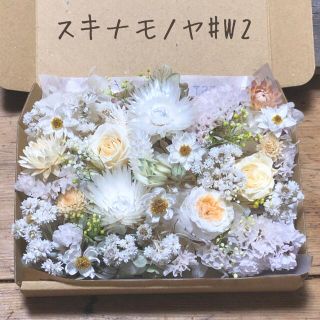 ドライフラワー花材set♡ホワイト系#W2(ドライフラワー)