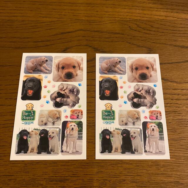 Labrador Retriever(ラブラドールリトリーバー)のラブラドール ステッカー 日本盲導犬協会 その他のペット用品(犬)の商品写真