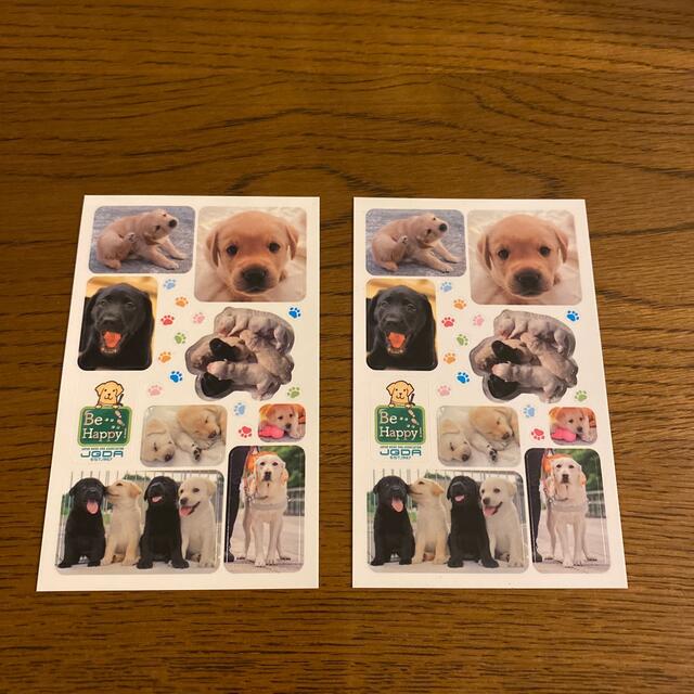 Labrador Retriever(ラブラドールリトリーバー)のラブラドール　ステッカー　日本盲導犬協会 その他のペット用品(犬)の商品写真