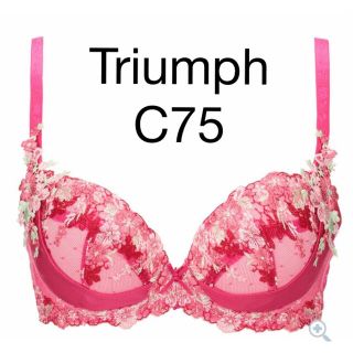 トリンプ(Triumph)のTriumph プレミアムデザイン 天使のブラ スリムライン0050 C75(ブラ)