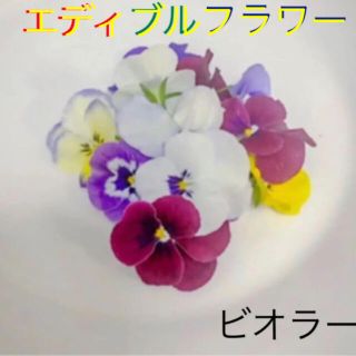 エディブルフラワー　食用花　100輪(野菜)