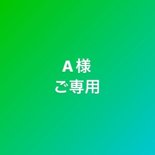 A様ご専用(その他)