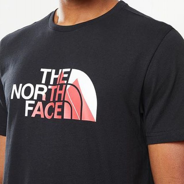 THE NORTH FACE - ノースフェイス 半袖Tシャツ Biner Graphic 1 黒 L ...