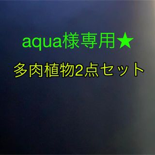 YOKKO様専用 elc.or.jp