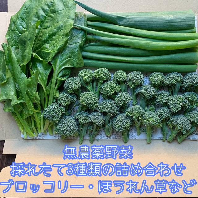 無農薬野菜＊採れたて3種類の詰め合わせ＊野菜セット＊ネコポス＊ブロッコリーなど＊ 食品/飲料/酒の食品(野菜)の商品写真