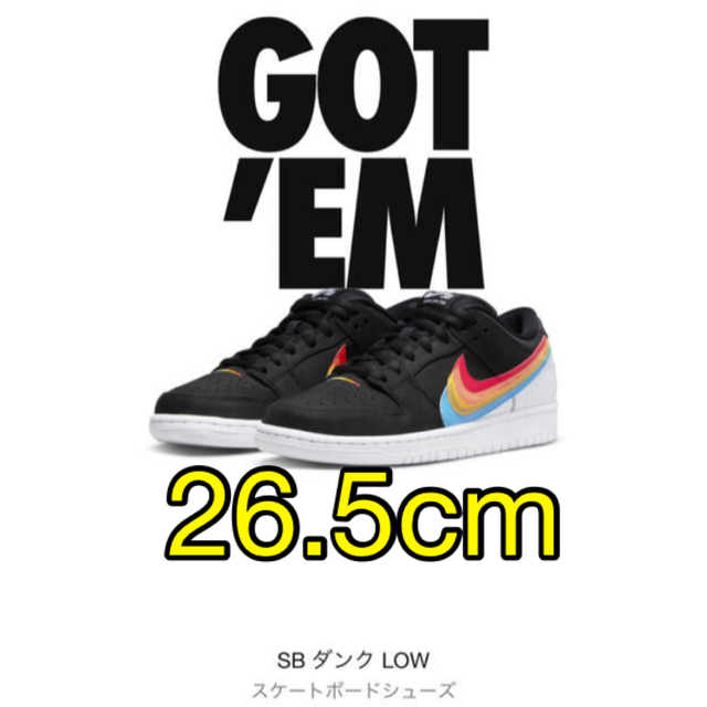 Polaroid × Nike SB Dunk Low Pro Black