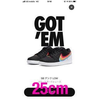 ナイキ(NIKE)のPOLAROID X NIKE SB DUNK LOW ポラロイド ナイキダンク(スニーカー)