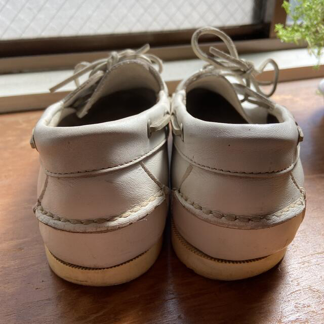 熱い販売 BEAUTYYOUTH UNITED ARROWS - BEAUTYYOUTH UNITED ARROWS ホワイトデッキシューズ デッキシューズ - www.we-job.com 熱い販売 BEAUTYYOUTH UNITED ARROWS - BEAUTYYOUTH UNITED ARROWS ホワイトデッキシューズ デッキシューズ - www.we-job.com
