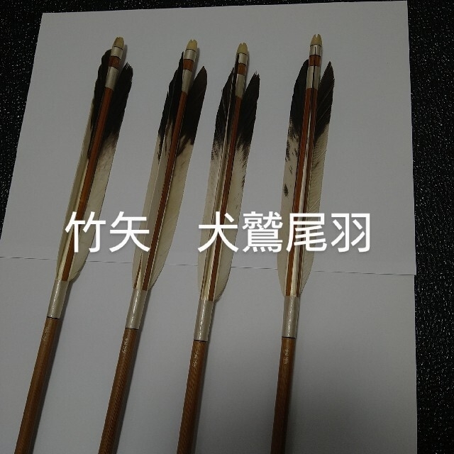 SALE/63%OFF】 メガバスix96MLPS sushitai.com.mx