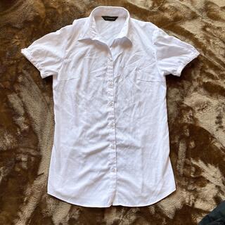 パーフェクトスーツファクトリー　半そでワイシャツ　7号(シャツ/ブラウス(半袖/袖なし))