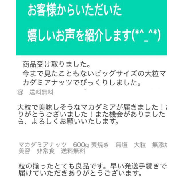 マカダミアナッツ　素焼き　無塩　無添加　美容　非常食　送料無料　【大粒】