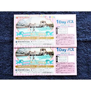 2セット★東京サマーランド 株主優待券 1DAYパス 8枚綴×2冊＋大井2枚(プール)