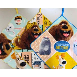 コストコ(コストコ)の新品 3枚 ★ コストコ ループタオル PETS ペット 映画(その他)