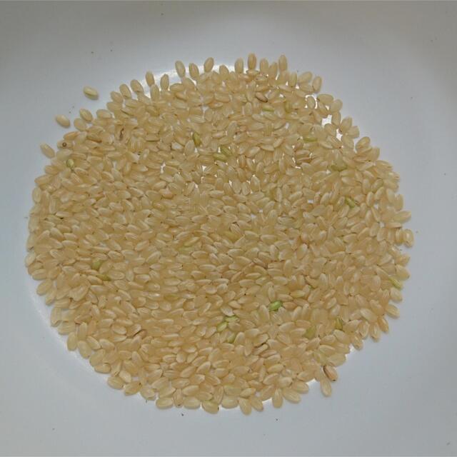 おもてなし様専用 無農薬コシヒカリ玄米20kg(5kg×4)令和3年 徳島県産