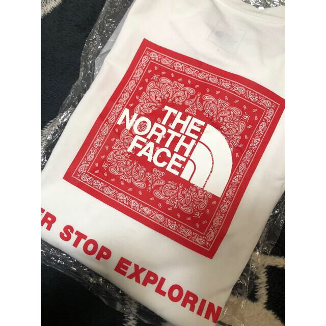 THE NORTH FACE(ザノースフェイス)のノースフェイス ペイズリー Tシャツ スクエアロゴ メンズのトップス(Tシャツ/カットソー(半袖/袖なし))の商品写真