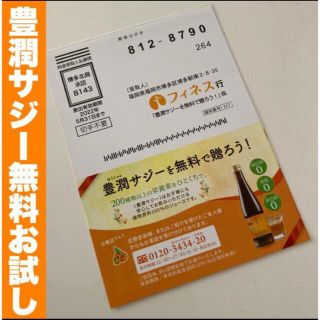 豊潤サジー　10日間お試しサイズ 300ml(その他)