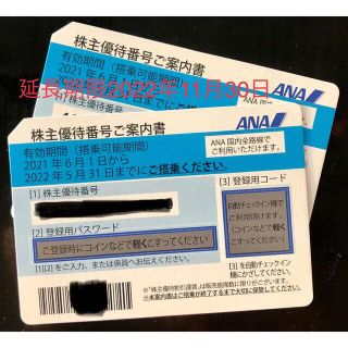 エーエヌエー(ゼンニッポンクウユ)(ANA(全日本空輸))のANA株主優待券 2枚 延長期限2022年11月30日(その他)