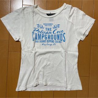 アバクロンビーアンドフィッチ(Abercrombie&Fitch)のAbercrombie&Fitch アバクロ ラメ付きTシャツ(L・白)(Tシャツ(半袖/袖なし))