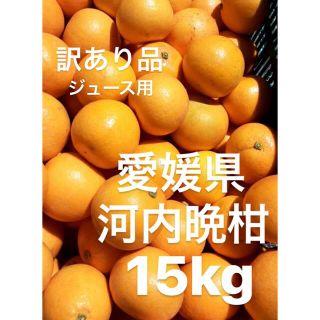 訳あり品　愛媛県産　河内晩柑　宇和ゴールド　柑橘　ジュース用　15kg(フルーツ)