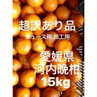 超訳あり品　愛媛県産　河内晩柑　宇和ゴールド　柑橘　ジュース用　15kg(フルーツ)