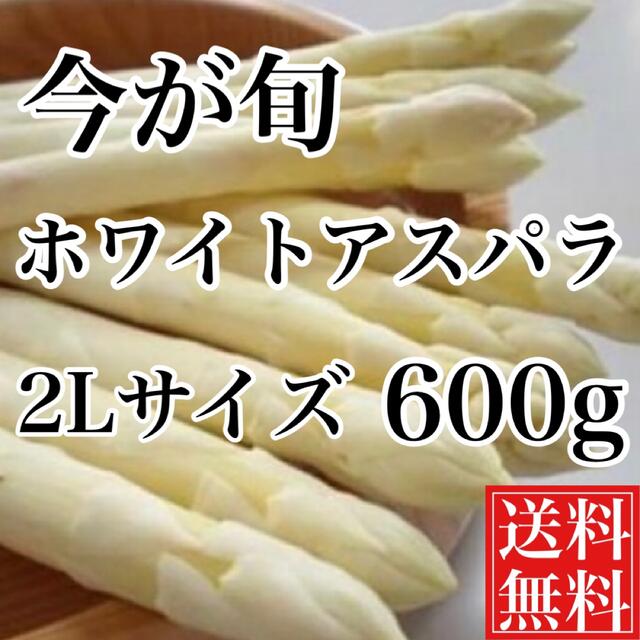 今が旬❗️極太ホワイトアスパラ2Lサイズ600g約12本前後　ネコポス送料無料 食品/飲料/酒の食品(野菜)の商品写真