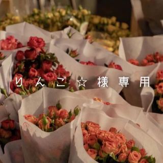 りんご☆様専用ページ。の通販 by nana's shop|ラクマ