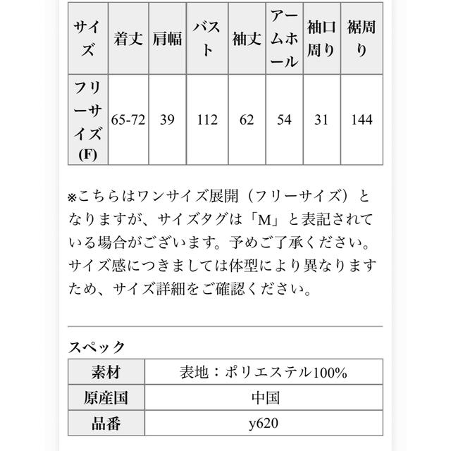 マウンテンパーカー　リバーシブル　お値下げ レディースのジャケット/アウター(ナイロンジャケット)の商品写真