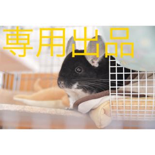 ちゃ様専用出品 小動物用乾燥おやつセット(小動物)