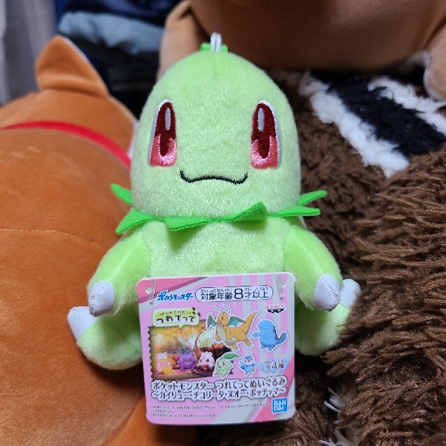 きらきらポケモンぬいぐるみ～クリスマス ワニノコチコリータ ポケモン まとめ売り