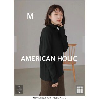 アメリカンホリック(AMERICAN HOLIC)の【AMERICAN HOLIC】リブタートルネックプルオーバー【ニット】(ニット/セーター)