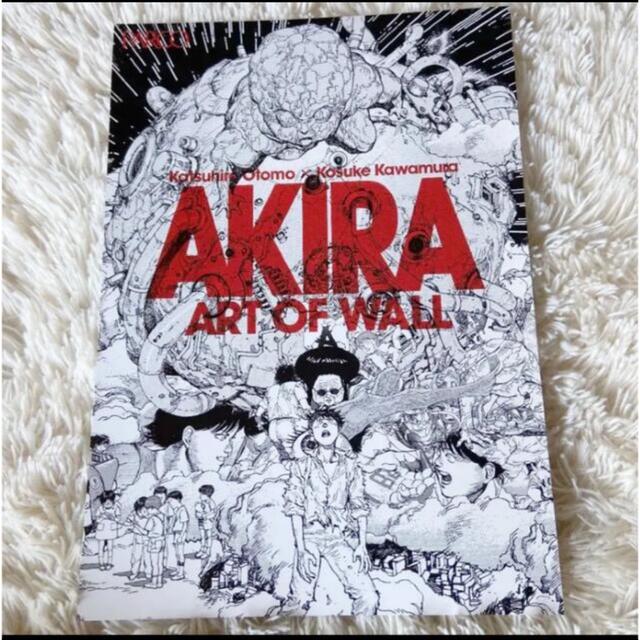 AKIRA PRODUCTS(アキラプロダクツ)のAKIRA ART OF WALL 河村康輔 デザイン アキラ フライヤー エンタメ/ホビーのアニメグッズ(その他)の商品写真