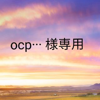 ザセム(the saem)のocp··· 様専用(コンシーラー)