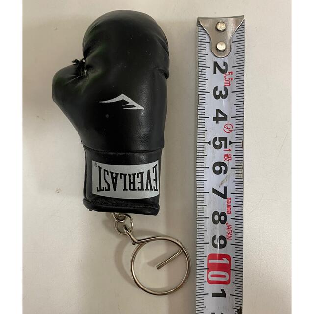 EVERLAST(エバーラスト)のEVERLAST エバーラスト ミニチュア ボクシンググローブ キーホルダー スポーツ/アウトドアのスポーツ/アウトドア その他(ボクシング)の商品写真