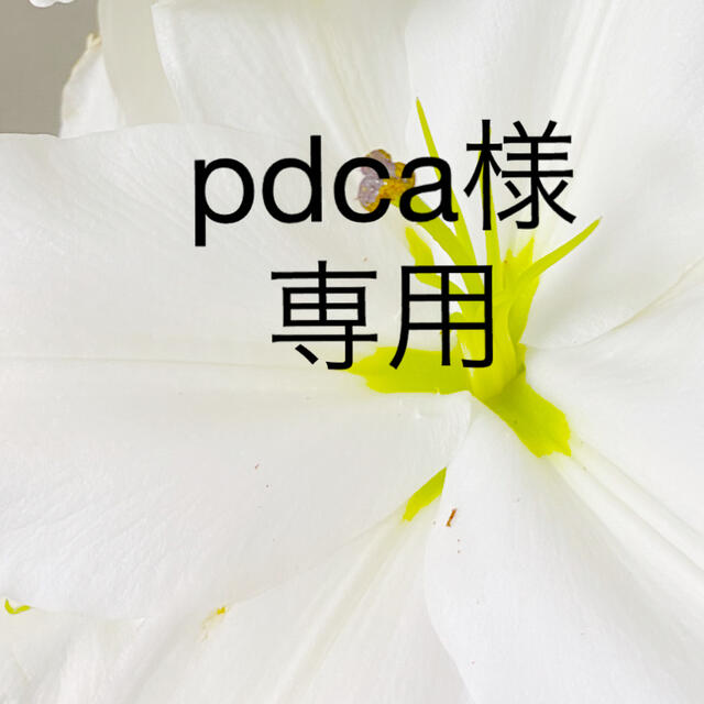 pdca様専用 2つ バーゲンで 60.0%OFF stockshoes.co