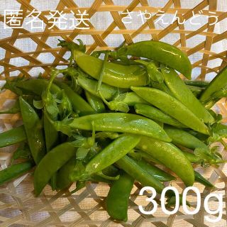 さやえんどう　約300g スナップエンドウ　絹さや(野菜)