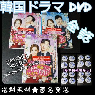 【韓国ドラマ】DVD★『キム秘書はいったい、なぜ?』(全話)★レンタル落ち(TVドラマ)